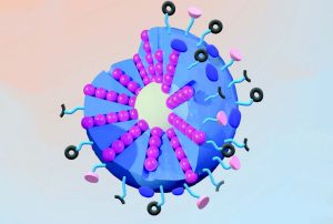 Smart Mesoporous Silica Nanoparticles in Cancer: