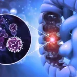 Germline variants in patients from the Iranian hereditary colorectal cancer registry