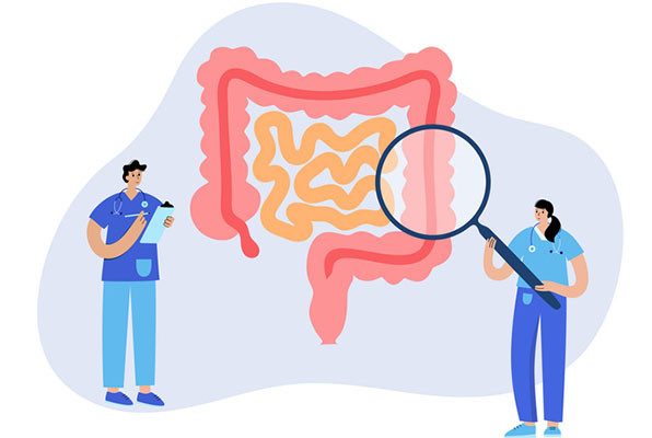 The immunoregulatory role of lncRNA UCA1: a pan‑cancer perspective with a focus on colorectal cancer